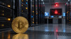 Bitcoin ağı işlemleri durdurdu