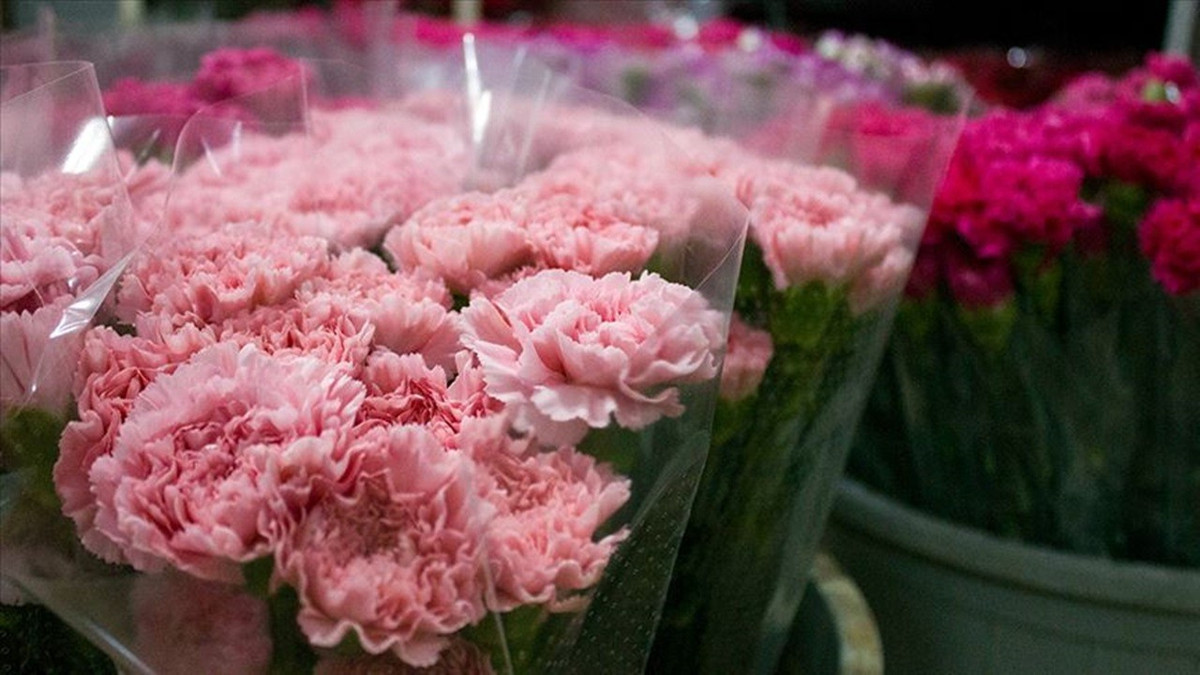 Çiçek sektöründe 14 Şubat yoğunluğu başladı: İhracat hedefi 10 milyon dolar