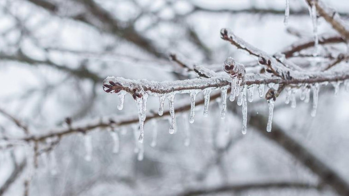 Meteoroloji uyardı! Doğu Karadeniz için zirai don alarmı