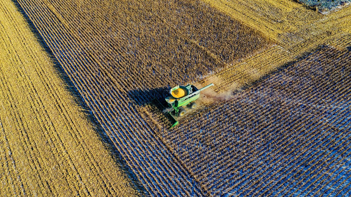 Arsa ve tarla satışları 2025'te 1,6 milyonu aştı