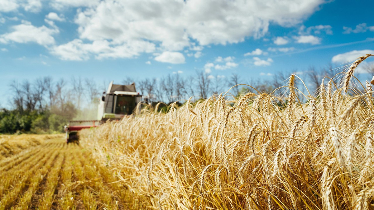 TZOB Başkanı Bayratkar: Çiftçi kayıt sistemi başvuruları 31 Aralık tarihinde sona erecek