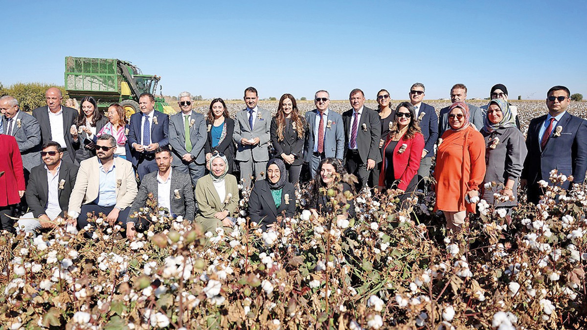 GAP Bölgesi’nde ‘Better Cotton’ üretim alanları genişliyor