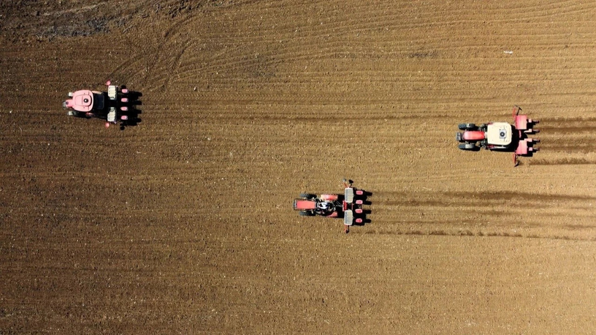 Güney Afrika'dan tarım ihracatında rekor: 15,1 milyar dolar