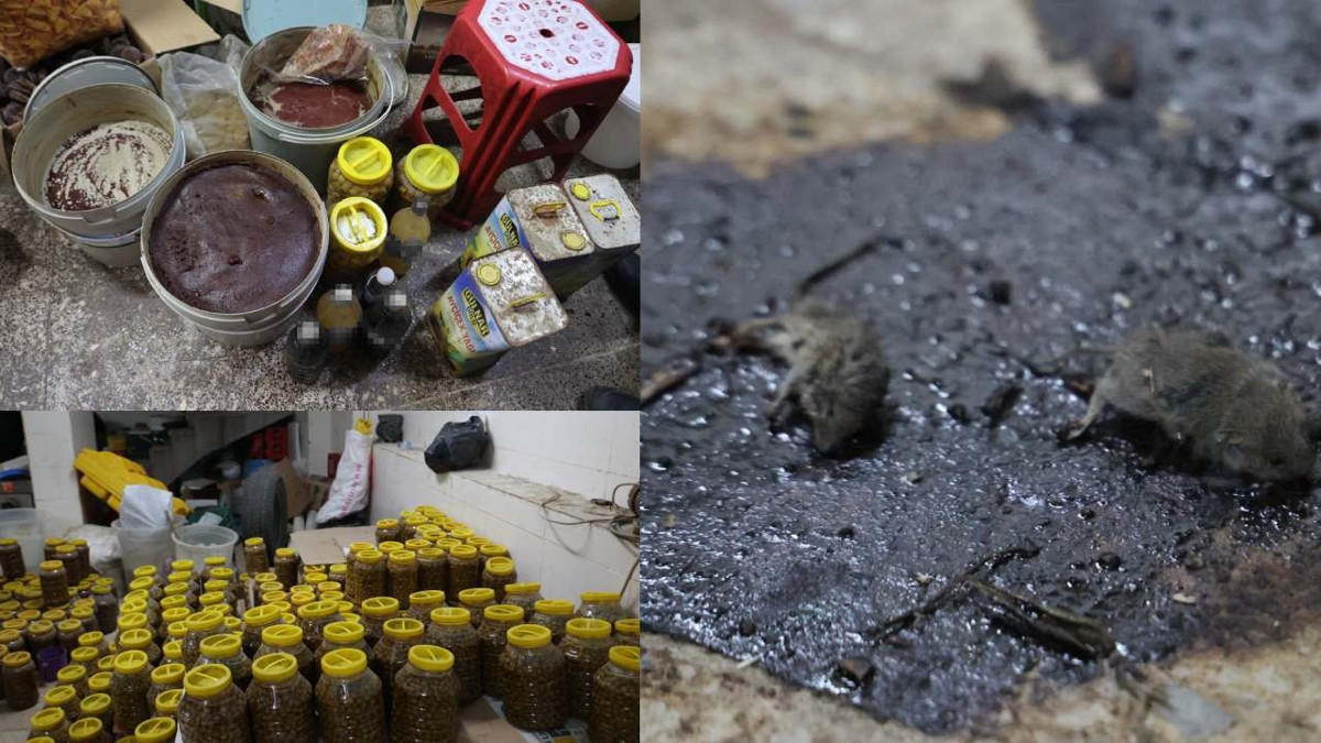 Kilis’te mide bulandıran hijyen skandalı: Fare ölüleri içinde tonlarca salça