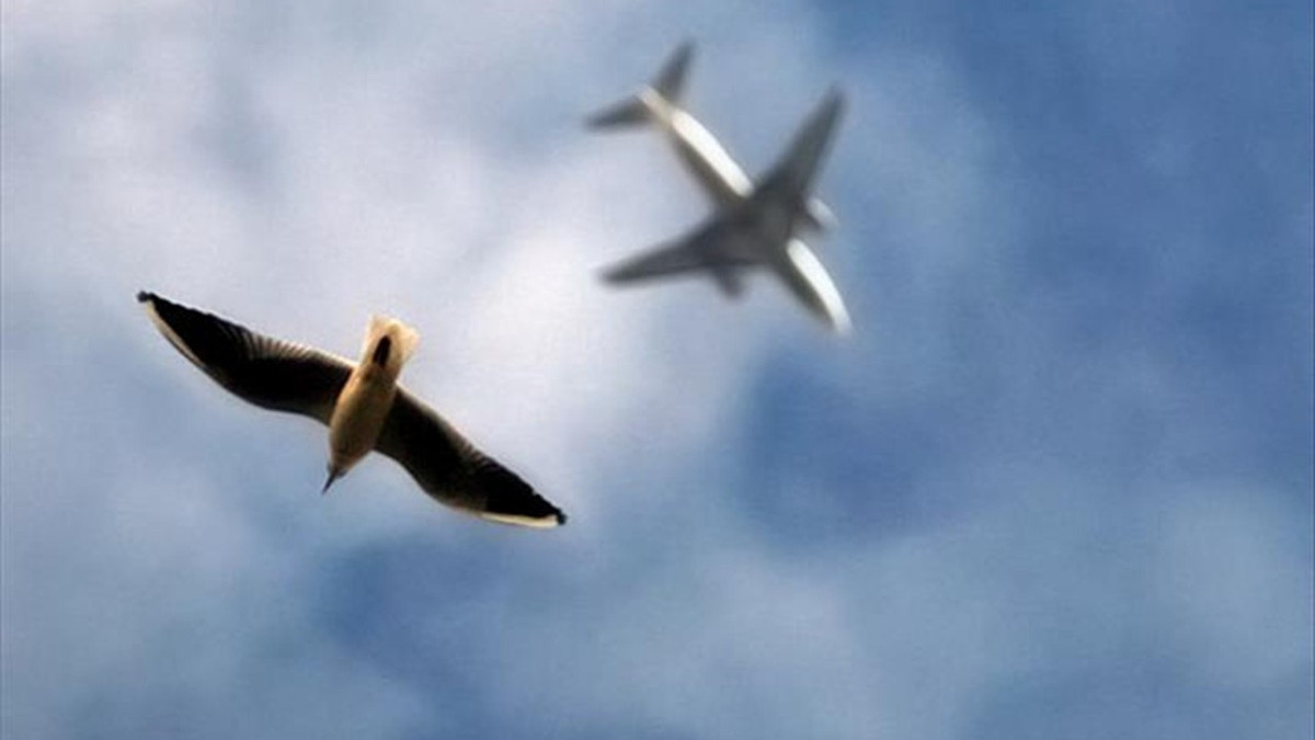 Uraloğlu yeni projeyi duyurdu! Kuş ve dron tehlikesine karşı yerli sistem 