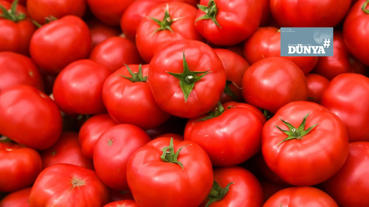 Tarımda çanlar kimin için çalıyor?