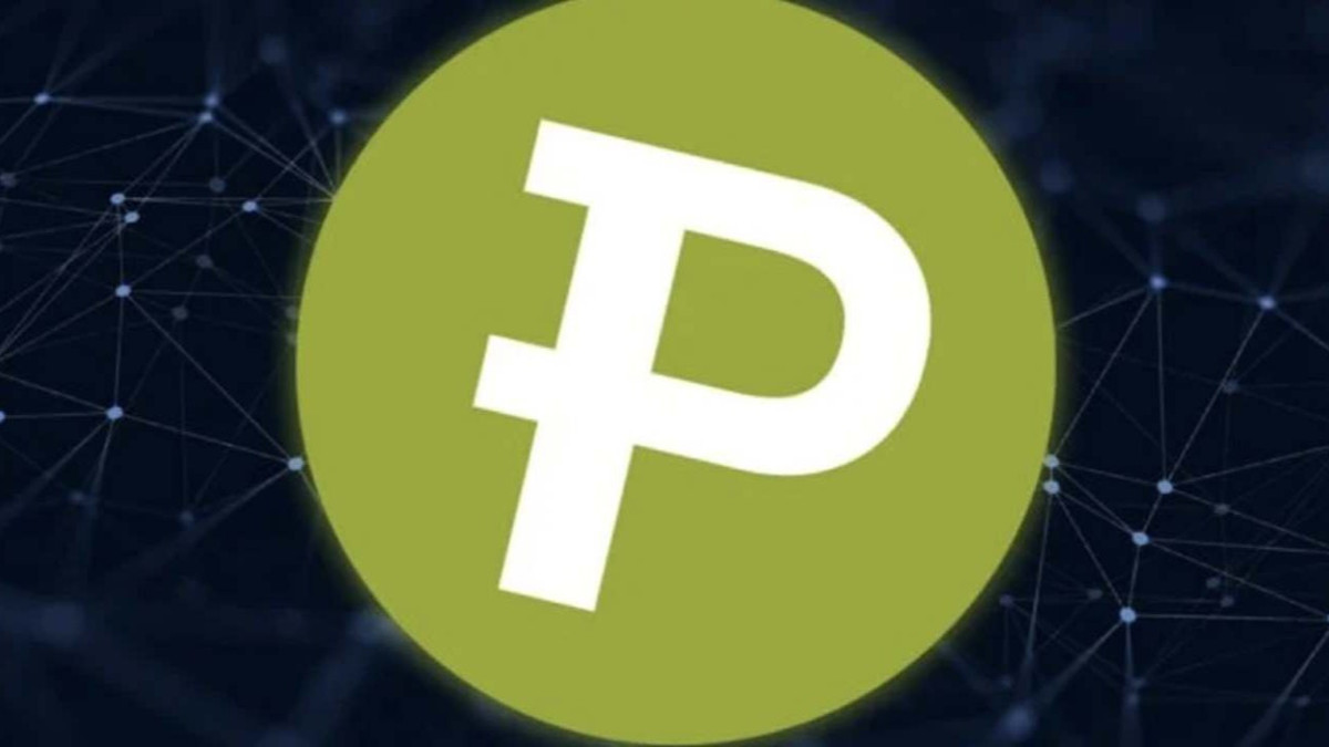 Rekabet Kurumu'ndan Paribu’ya onay: Türkiye’nin en büyük fintech anlaşması