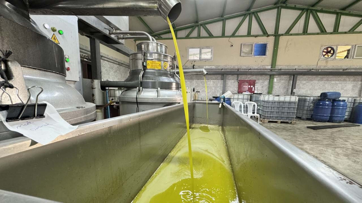 Devlet desteği ile zeytinyağı fabrikası kuran muhtar mahalleyi iş sahibi yaptı