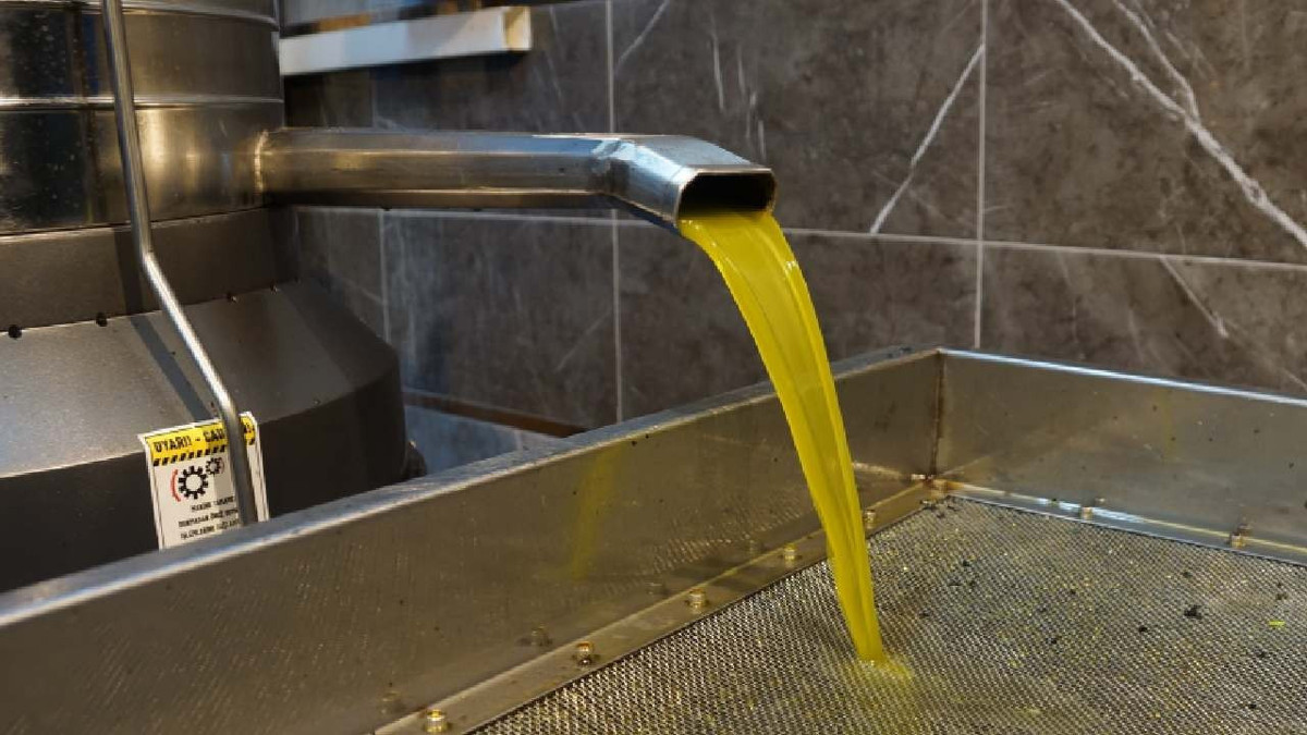 Zeytinyağı fiyatlarına yüzde 35 zam! Tariş güncel listeyi açıkladı