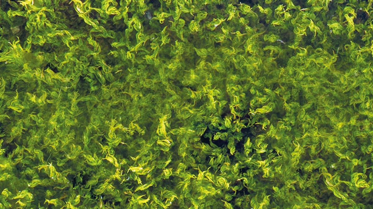 Doğanın takvimi değişime uğruyor