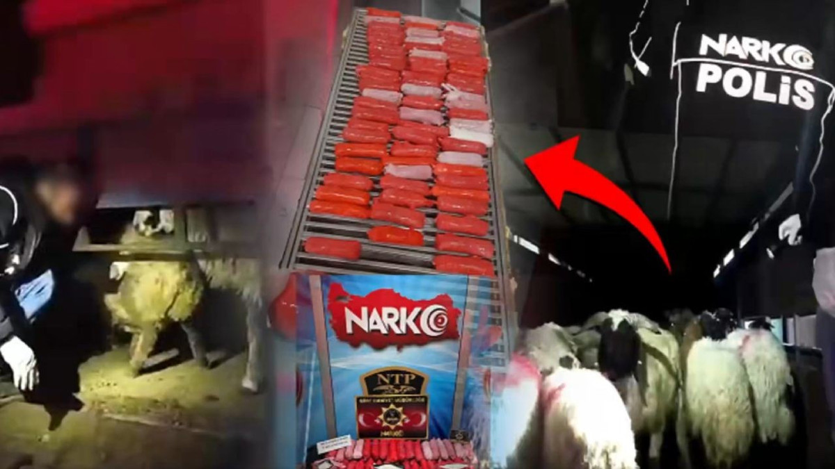 Hayvanların içinden uyuşturucu çıktı: Siirt’te kan donduran yöntem