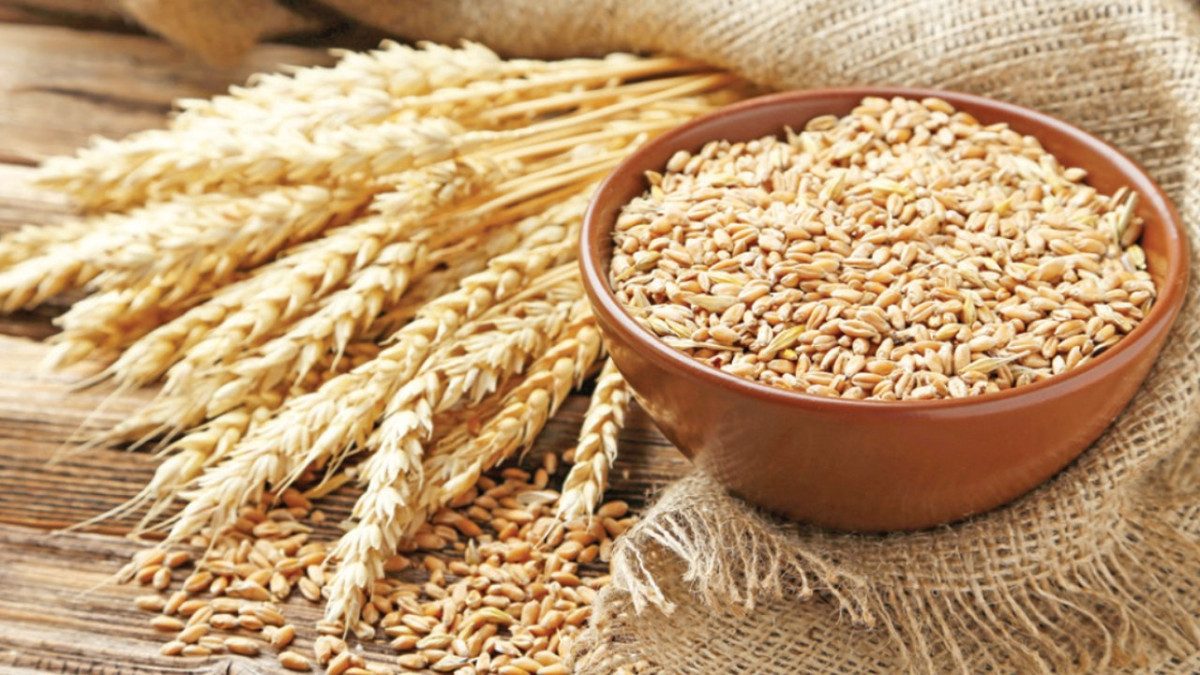 Tarımın ‘en zor’ yılında 14 temel üründe zarar var