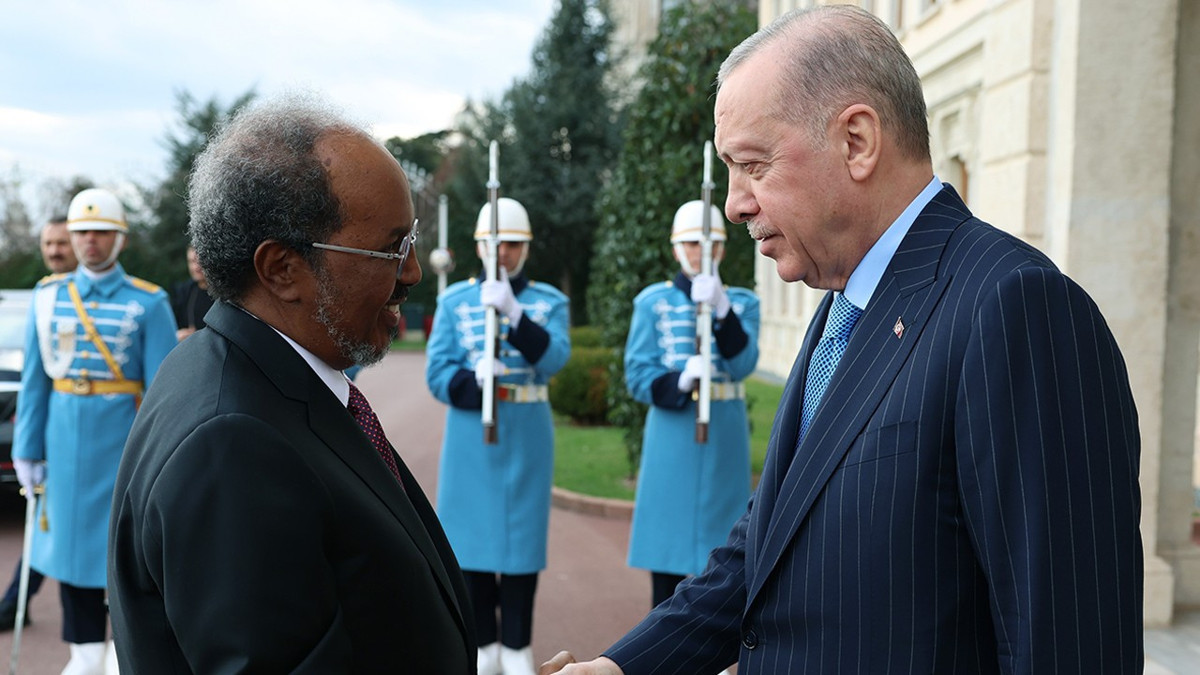 Erdoğan: İsrail'in Somaliland'ı tanıma kararı gayri meşrudur
