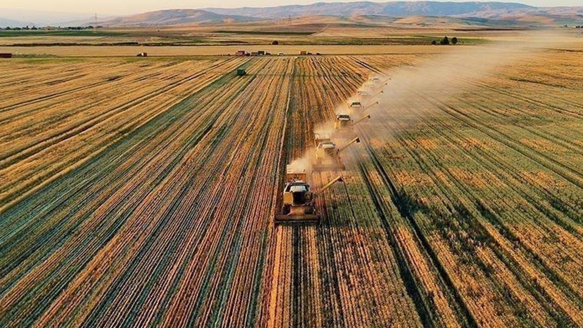 Kırsal kalkınmada yeni dönem: Hibeler yüzde 70'e çıkıyor