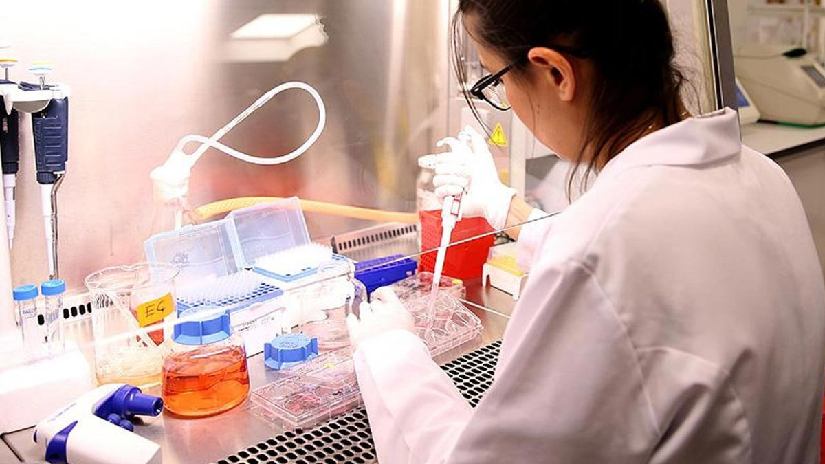 Nitelikli bilim insanları rotayı Türkiye'ye çevirdi