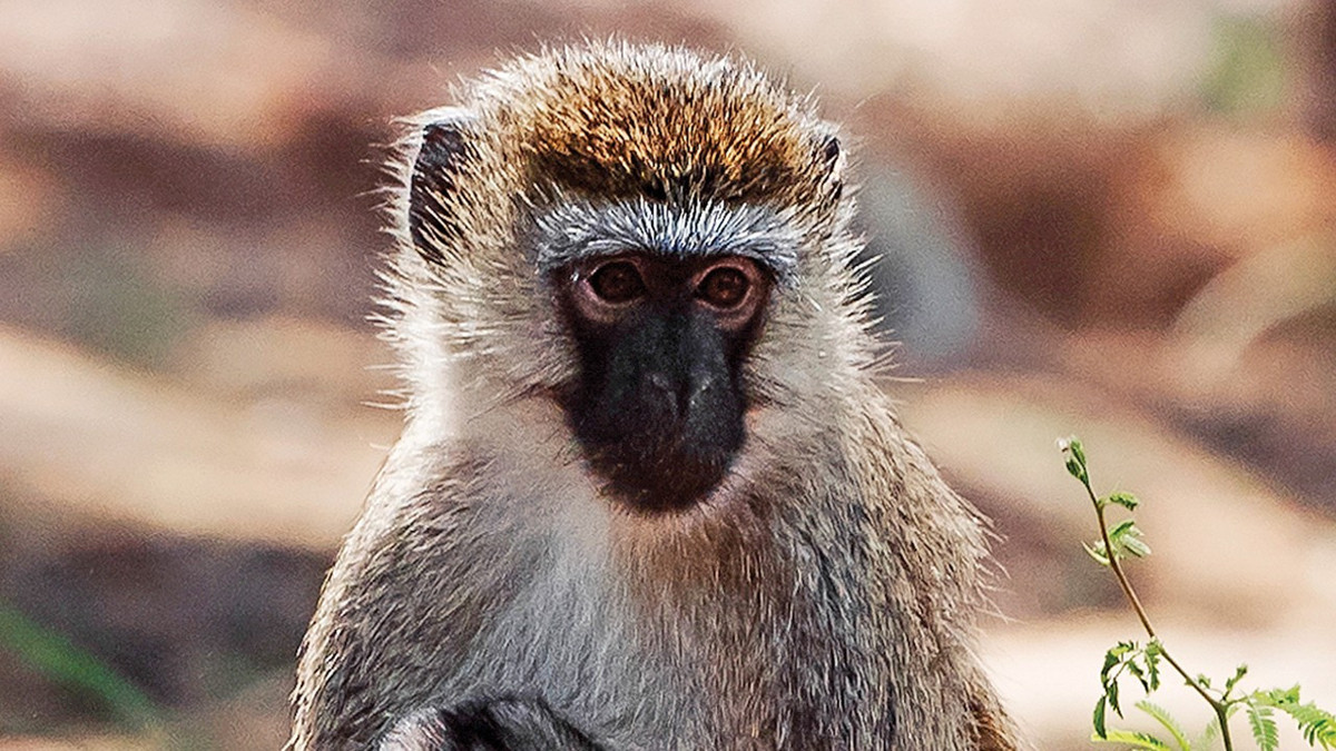 Dünya sandığımızdan çok daha kalabalık