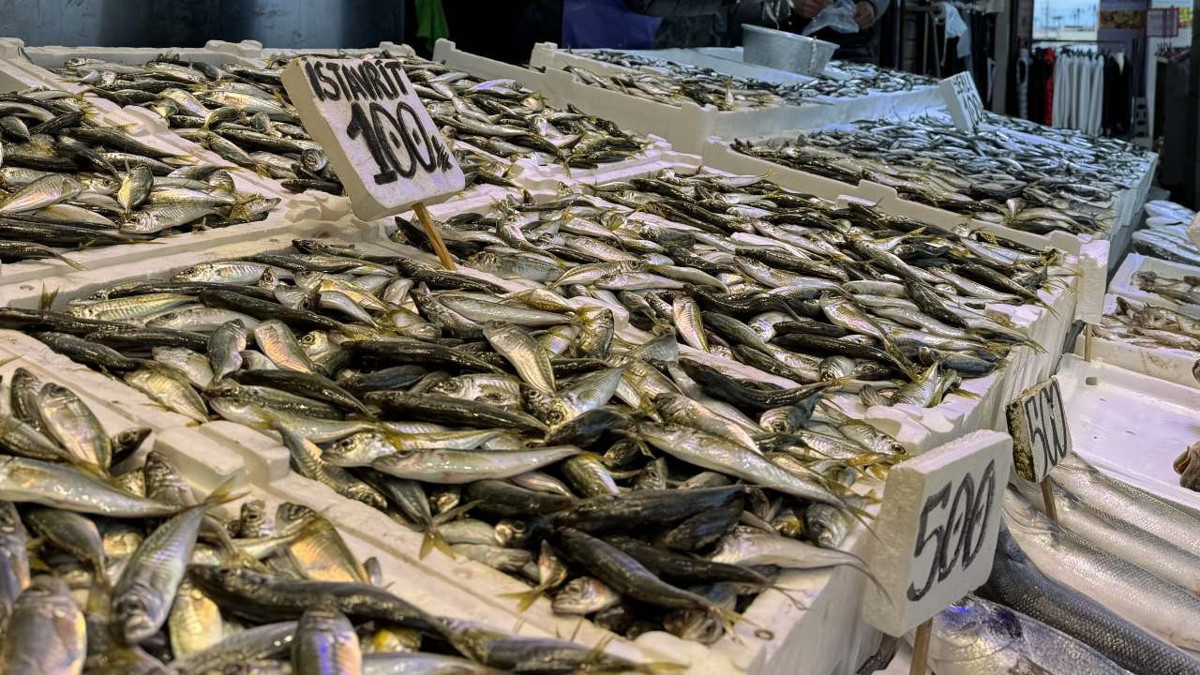 Aralık ayında fiyatı en fazla artan 'taze balık', en çok düşen 'uçak bileti'