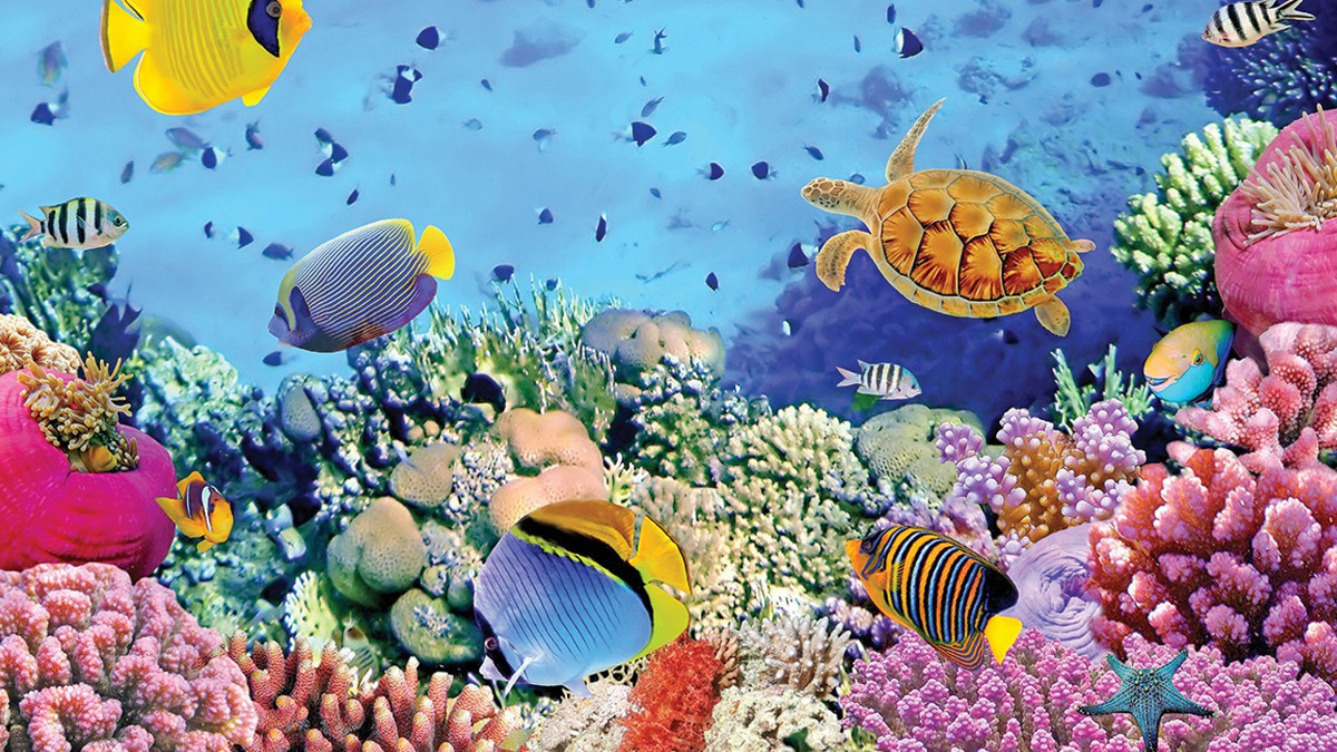 Yoksul ülkeler için umut resiflerden yükseliyor