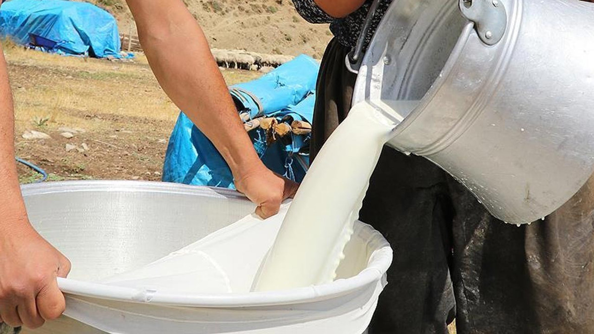 Ulusal Süt Konseyi çiğ süt tavsiye fiyatını açıkladı