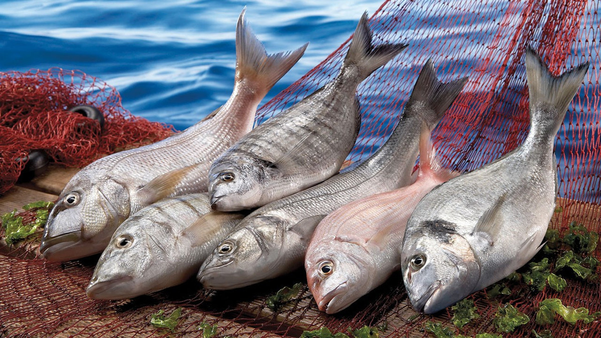 Su ürünleri ve hayvansal mamuller ihracatı 4 milyar doları aştı