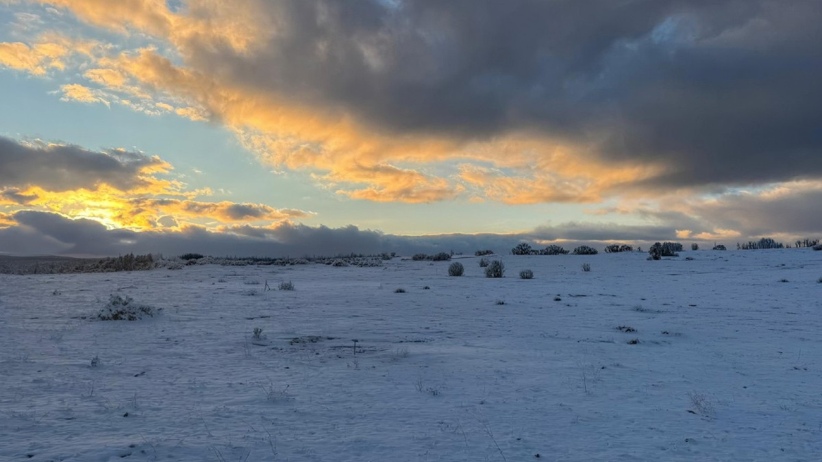 Çimsa: Şehitliğe yakın sahadaki ruhsat için iptal süreci başlatıldı