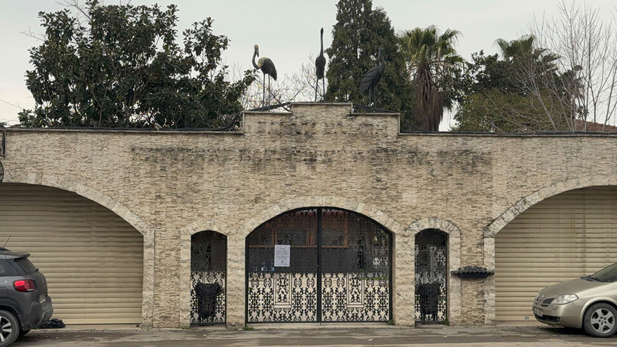 Darıca Hayvanat Bahçesi kapatıldı: Hayvanlar farklı illere nakledildi