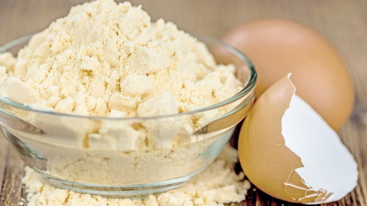 Yumurta tozuna 1 milyar TL'lik yatırım