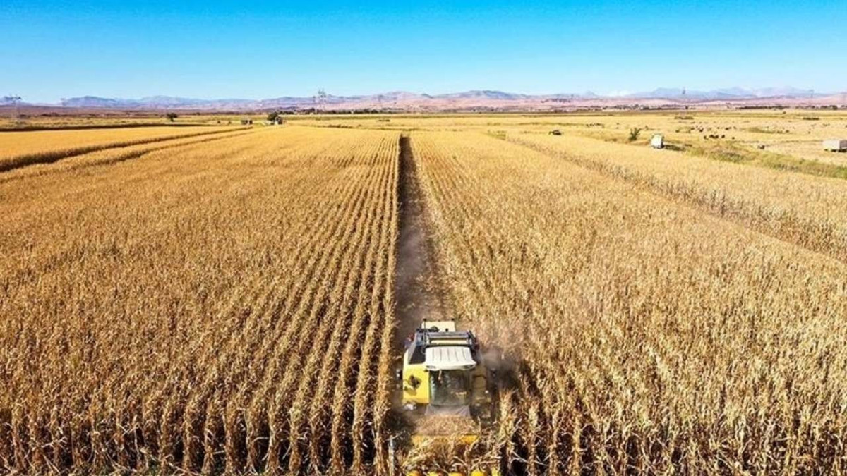 Tarımda tüm zamanların en yüksek yıllık ihracatı