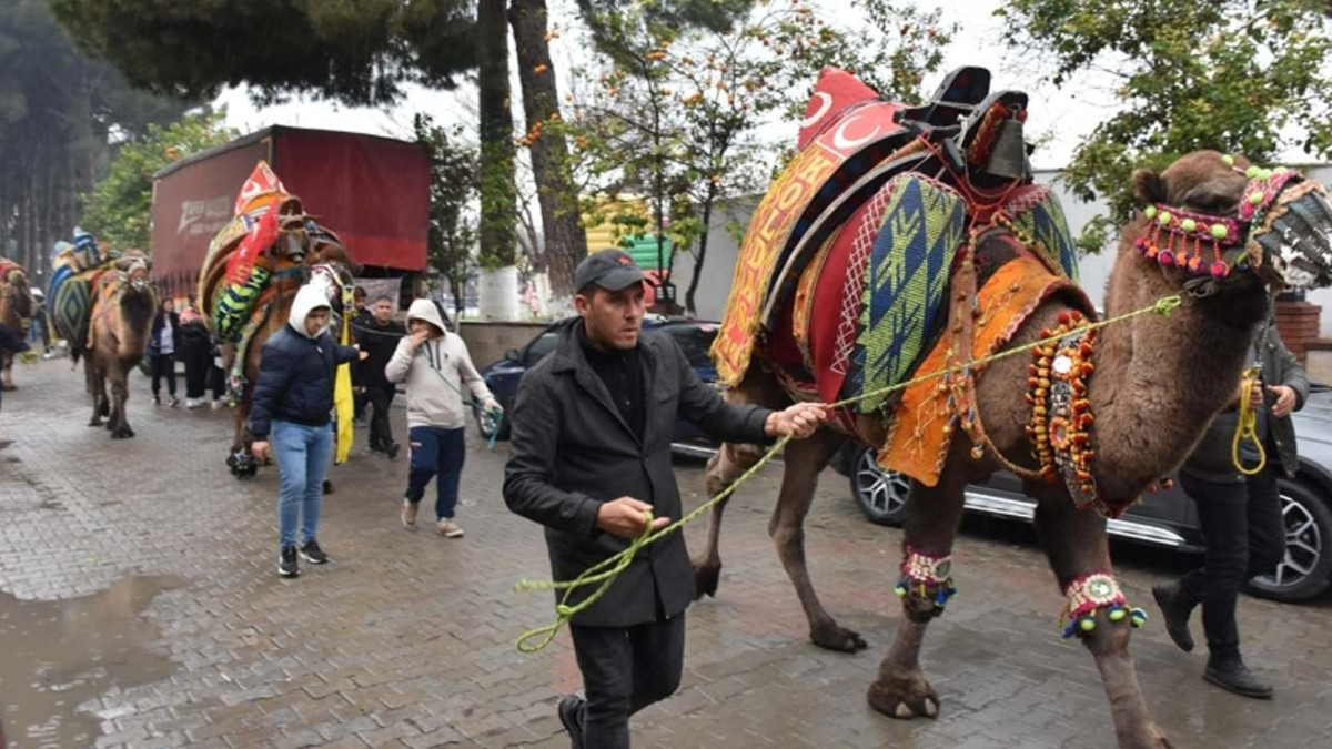 Ege’nin minik şehrinde 'deve' sürprizi! Birinci sıraya yükseldi