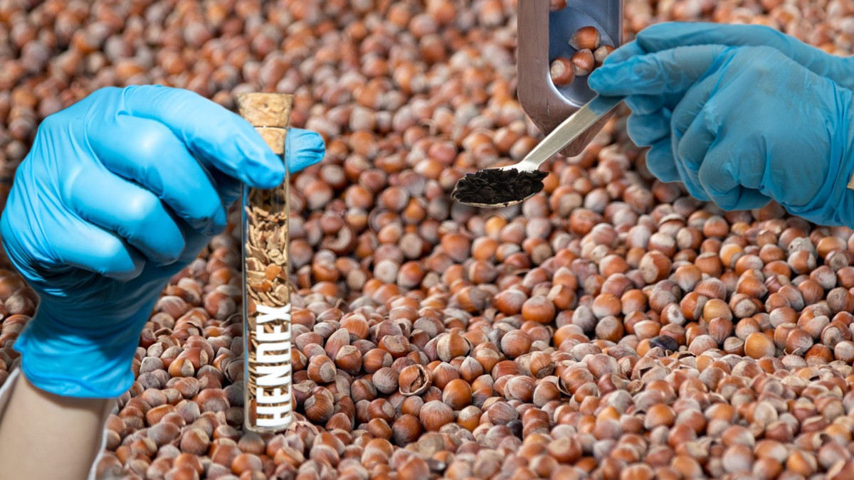 Atıktan stratejik ürüne: Fındık kabuğu ham maddeye dönüştürüldü