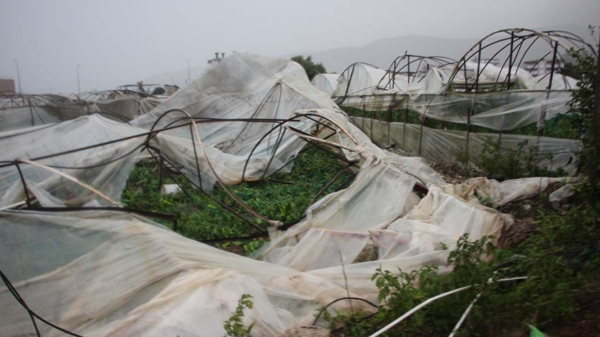 Bakan Yumaklı'dan hortumun vurduğu Antalyalı üreticiye mesaj