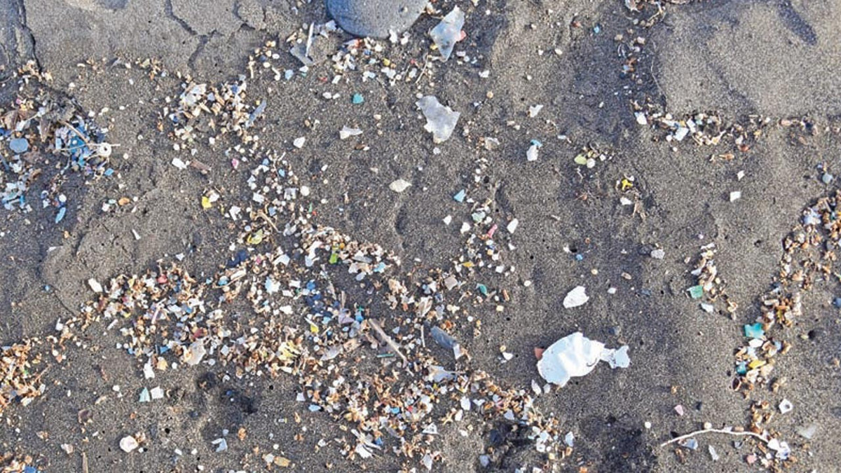 Tarladan denize mikroplastik akıyor