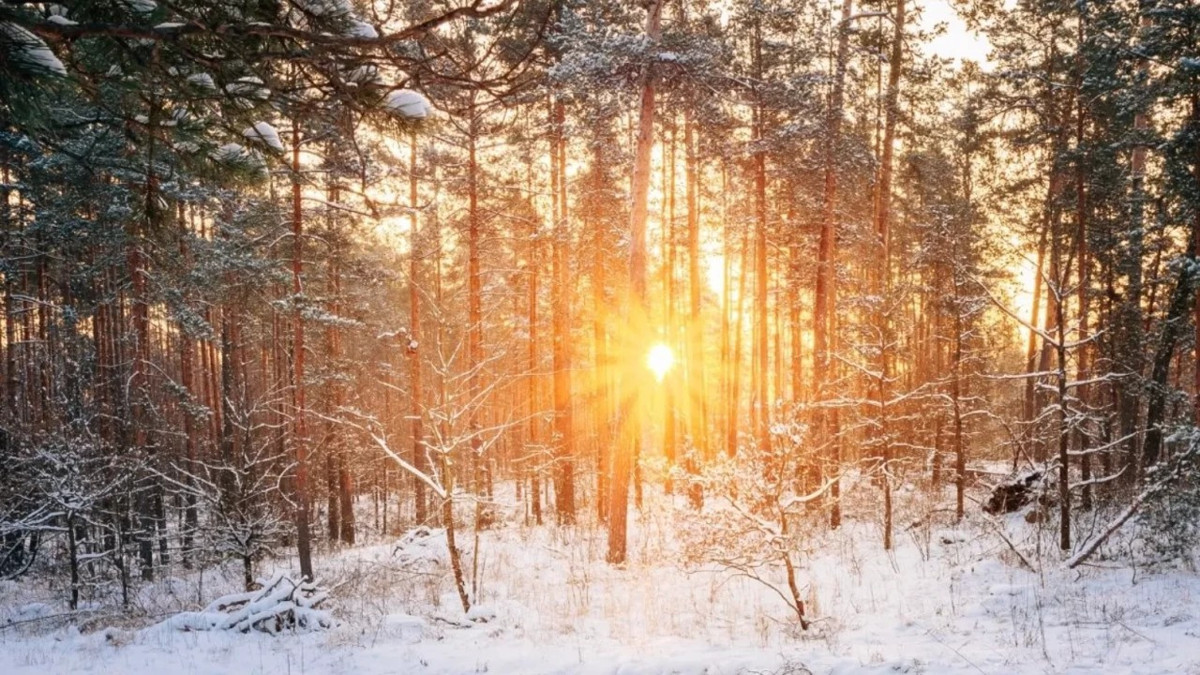 Meteoroloji uyardı: Doğu’da kar, Batı’da sıcaklık artışı...
