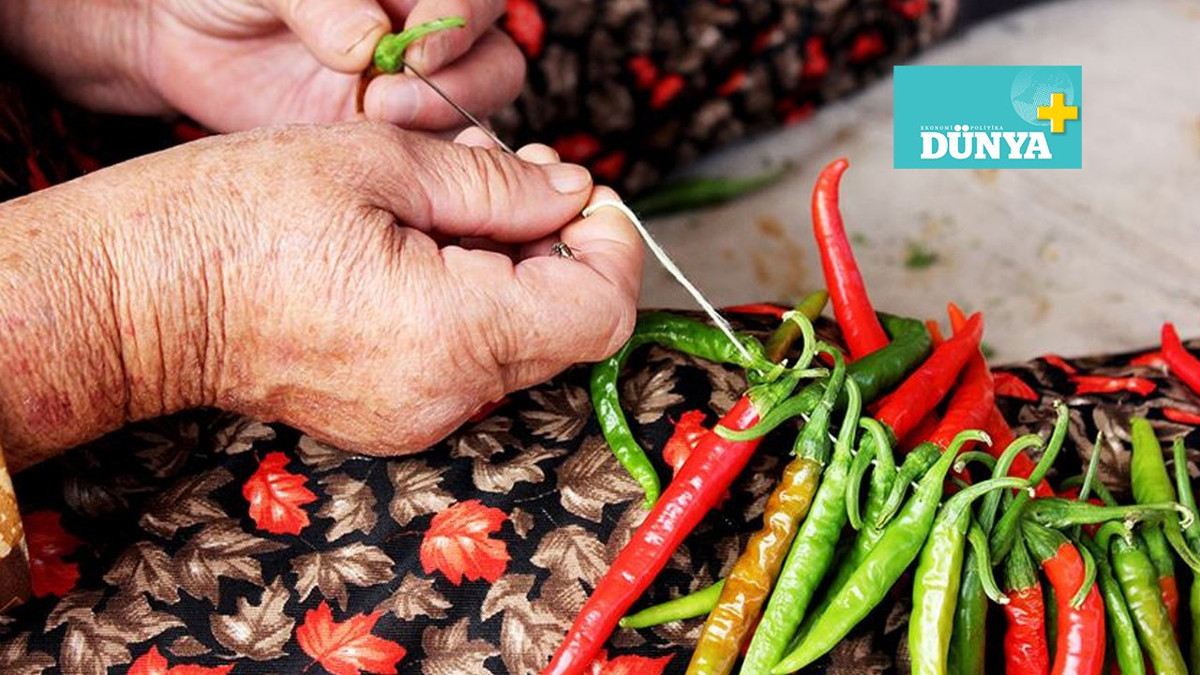 Dünya yanmak istiyor