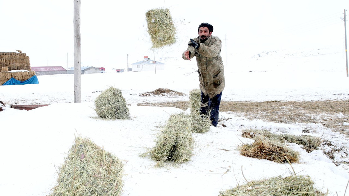 Şehirde pastaneciydi, köyüne döndü servetini büyüttü: Kendi işinin patronu oldu