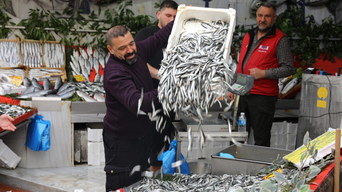 Kilosu 400 TL'ye satılıyordu, neredeyse sudan ucuz hale geldi: Balık pazarı hareketlendi
