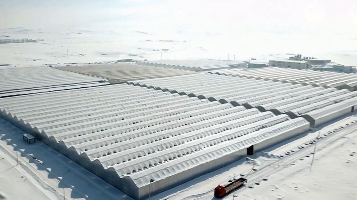 Jeotermal yatırımla tarımda yeni dönem: Ağrı Diyadin’de sera OTB tamamlandı