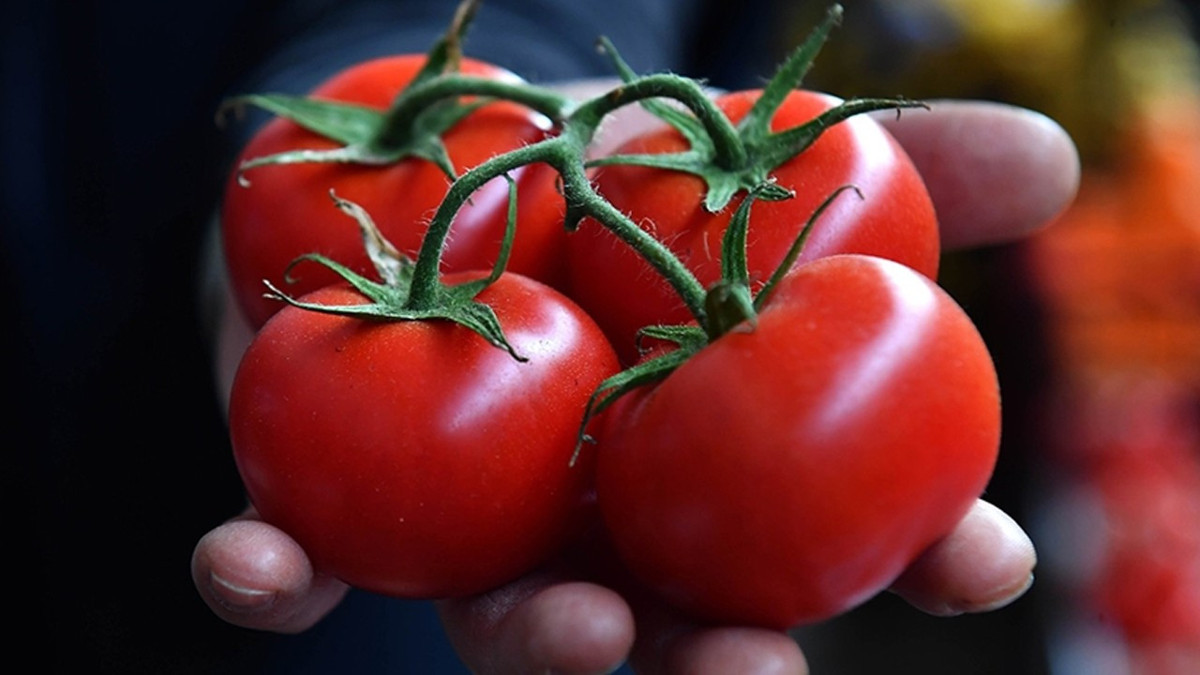 BAİB Başkanı Çavuşoğlu: Yaş sebze ihracatında farklı ürünlerle rekabet etmeliyiz