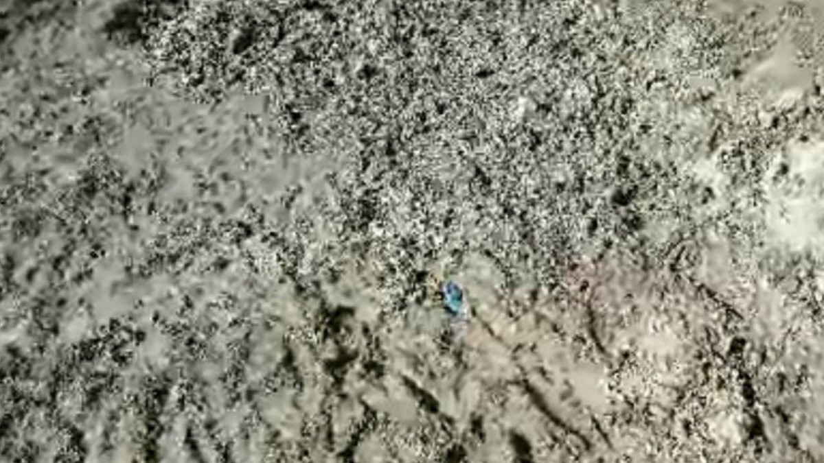 Kayıp olarak aranan Çinli iş adamı İstanbul'da ölü bulundu