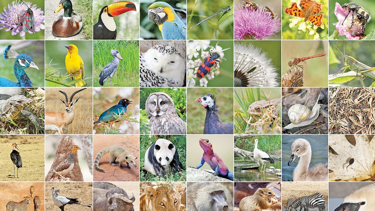 Doğanın motoru teklemeye başladı