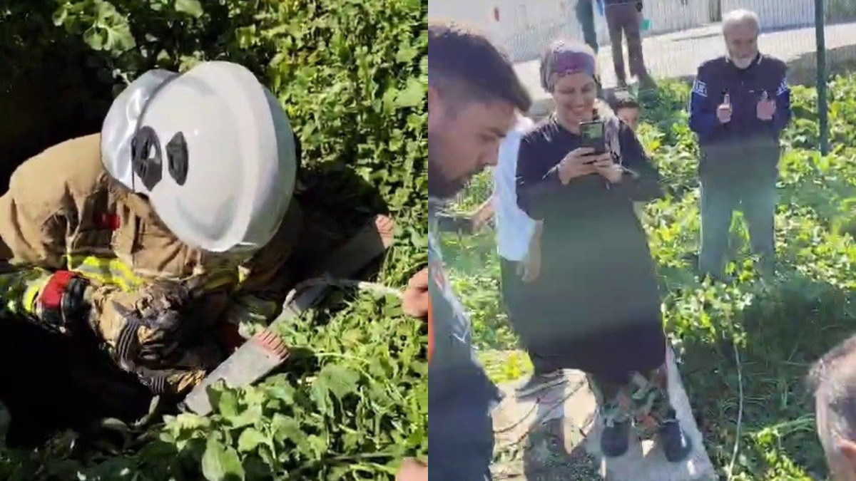 Hatay’da atık su kuyusuna düşen kedi kurtarıldı: İtfaiyeciye alkışlı teşekkür