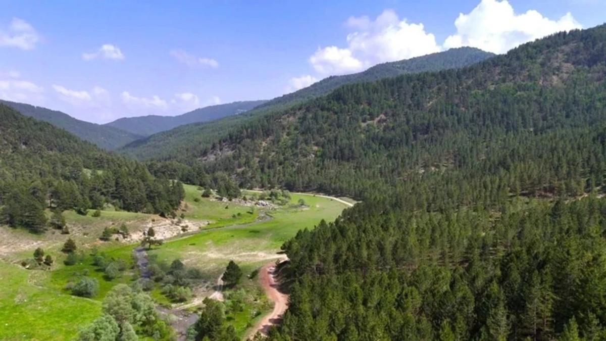 Resmi Gazete'de yayımlandı: 21 ilde bazı alanlar orman sınırları dışına çıkarıldı