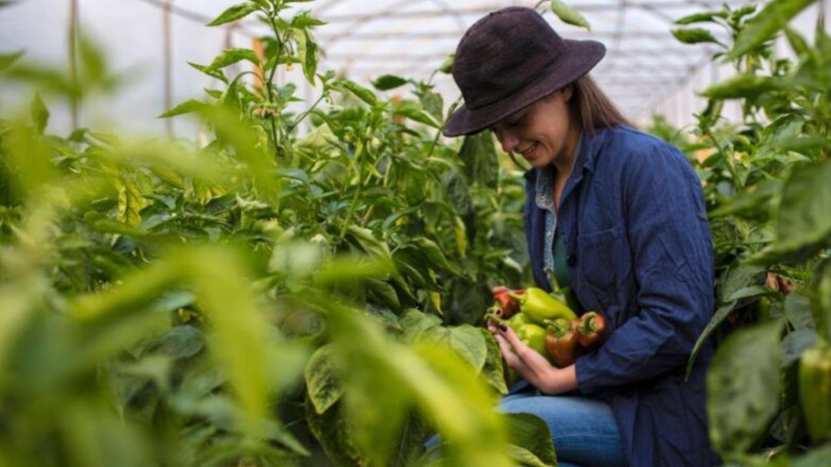 Kadın çiftçiler ve üreticiler için yeni dönem: 65,5 milyarlık kırsal kalkınma paketi