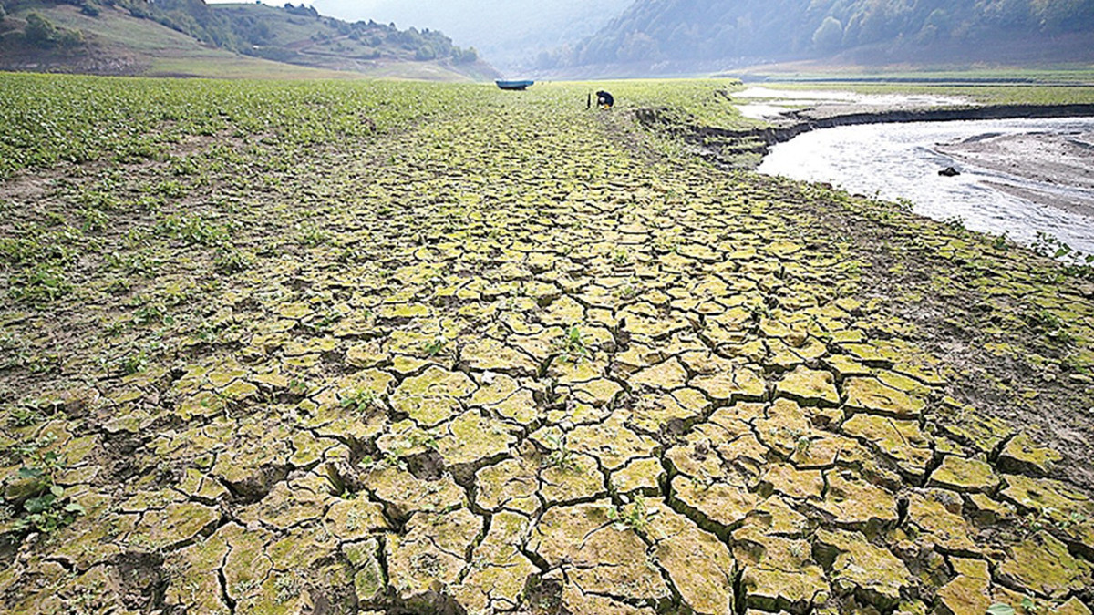 Gıda arzında ‘okyanus’ kalkanı