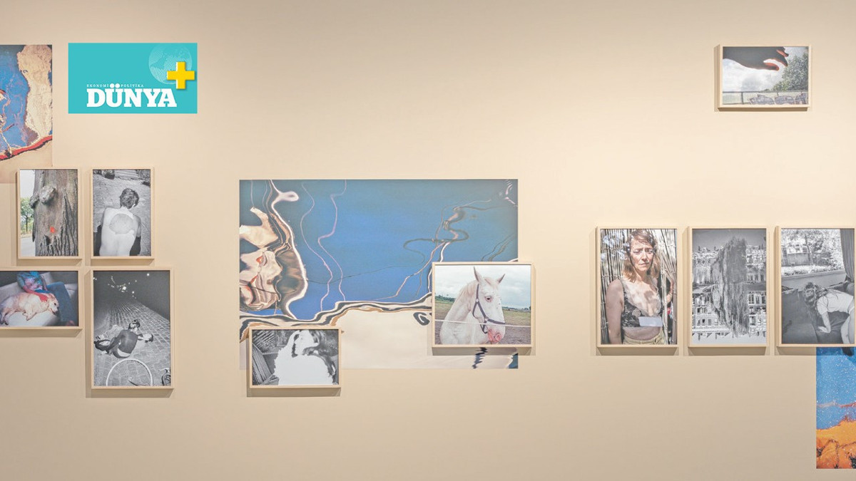 İmgeler arasında çok katmanlı bir gezinti