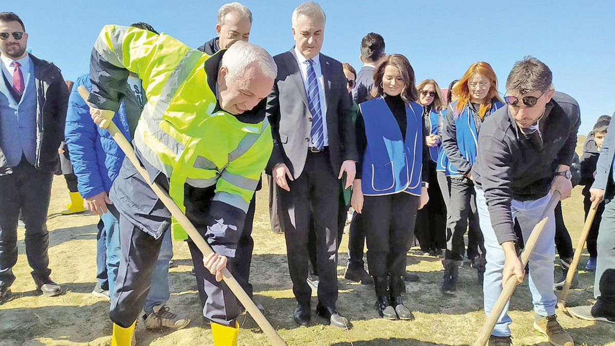 Atıl tarım arazileri gelir getiren ormana dönüşecek 