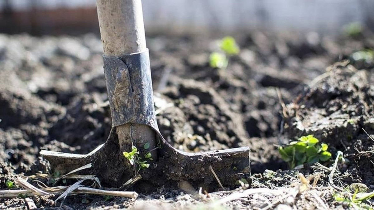 Tarım ve Orman Bakanlığı'ndan gübre krizine önlem: Yasaklı karışıma izin çıktı