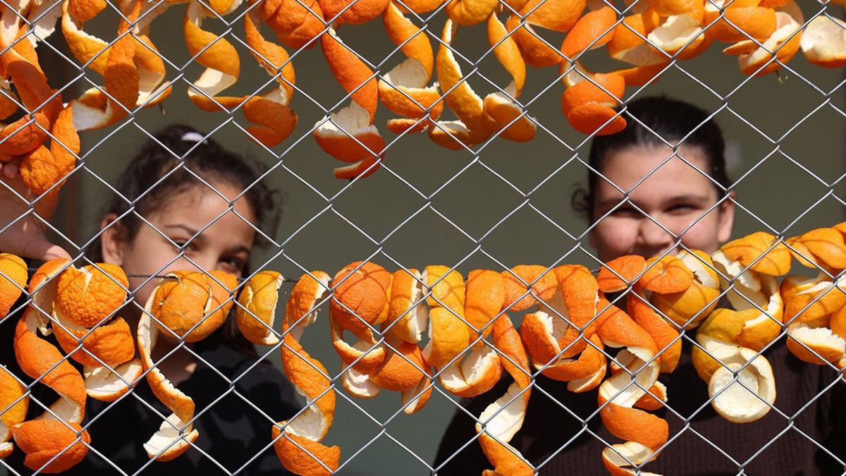 Dalında 20 TL, kabuğunda 65 TL: Kozanlı kadınlar atığı kazanca çeviriyor