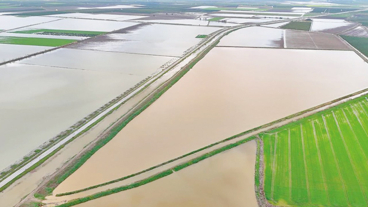 Çukurova’da 20 bin dönüm tarım arazisi sular altında