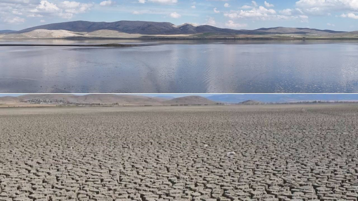 Çöle dönen göl, yeniden hayat buldu: Görenler gözlerine inanamadı